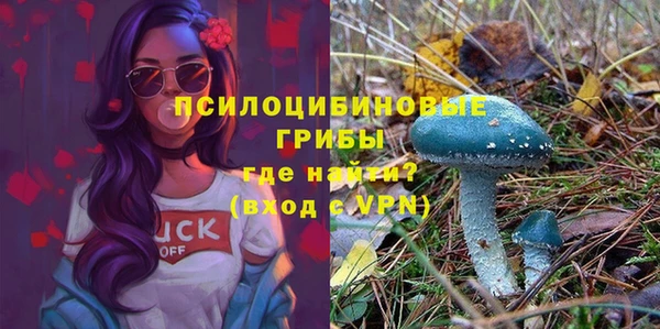 MDMA Premium VHQ Алзамай