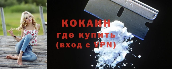 прущие грибы Абинск