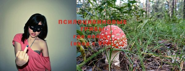 таблы Алексин